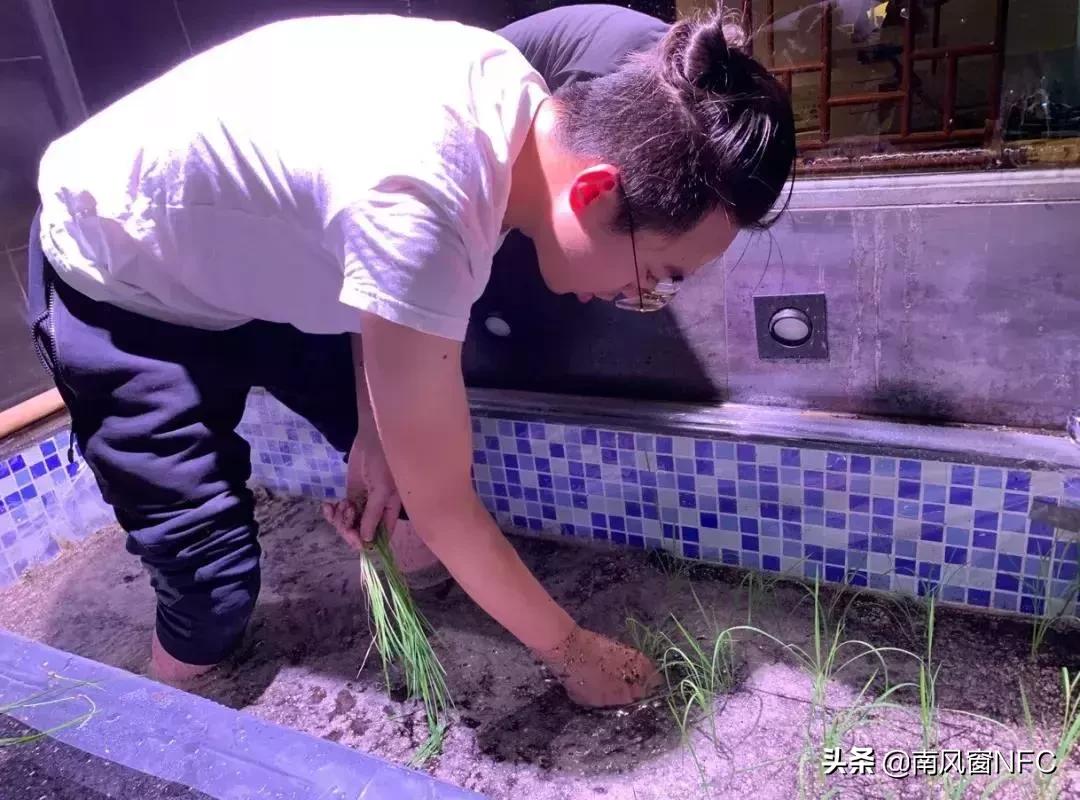 手工耿的最新视频,正经手工耿