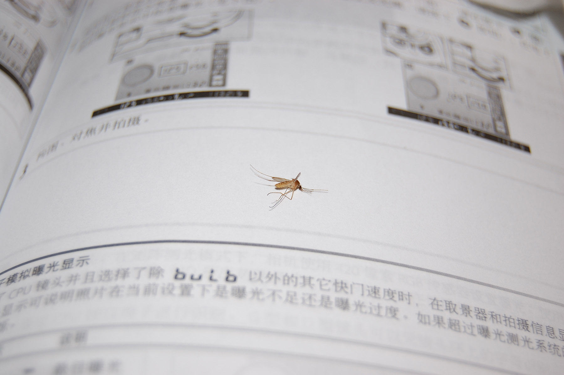 尼康d40x详细介绍,尼康d40x狗头机