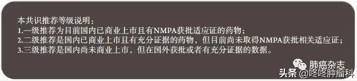 肺癌最好的免疫制剂,非小细胞肺癌的免疫治疗