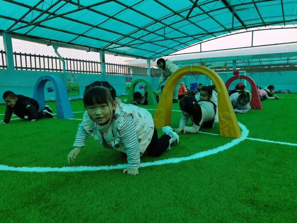 荥阳市第一幼儿园秋游实践活动,幼儿园体育活动教研讨论会