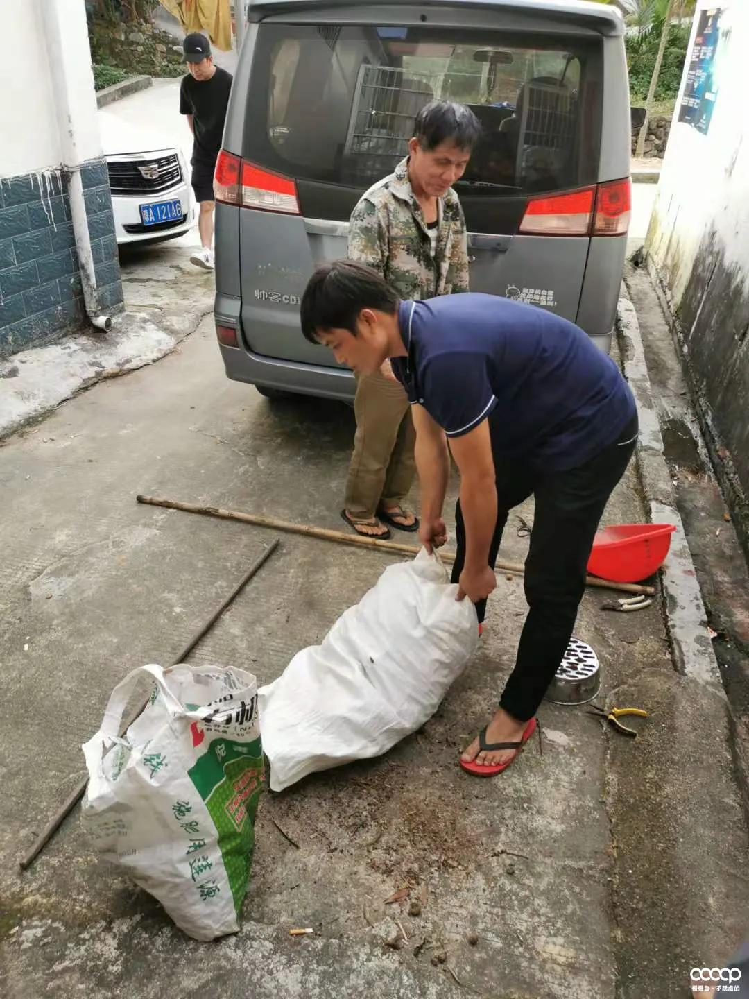 星月五指山料和毛感料区别,海南毛感星月介绍