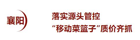 疫情之下保障农产品供应,湖北疫情防控物资自给能力