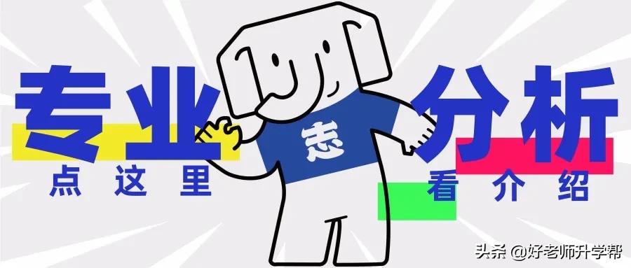 专升本的小学教育专业好找工作吗,教育专业专升本有哪些专业