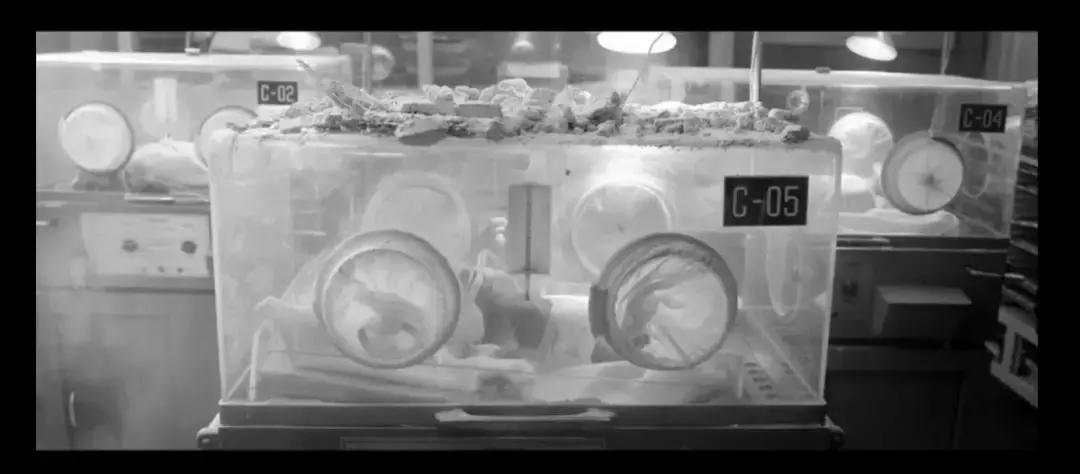 奥斯卡评选20世纪100部电影,奥斯卡10个奖项