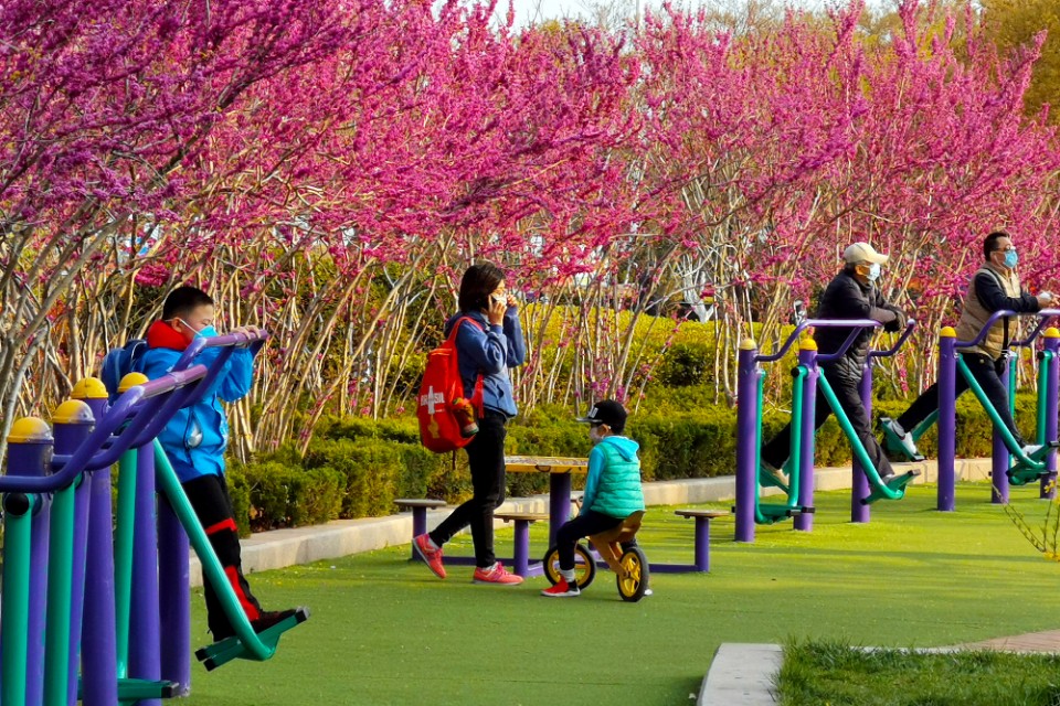 面朝大海春暖花开的背景音乐,面朝大海春暖花开歌曲