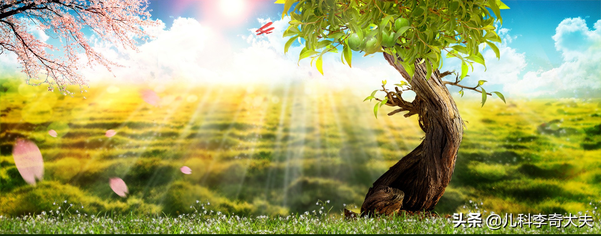 孩子黄金期怎样促进长高,春季中医健康养生知识大全