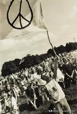 levislvc面料,levislvc怎么选