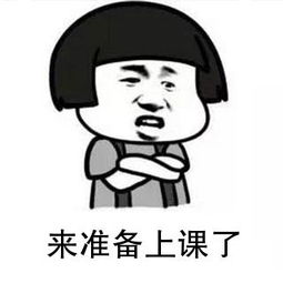 灏忛澶磋鐞嗚储瑙嗛,灏忛澶磋鐞嗚储