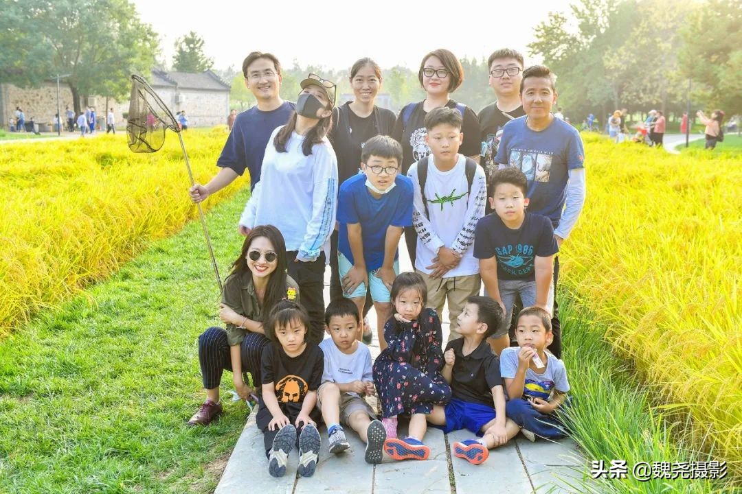 北京北坞公园里的京西稻又熟了，曾经只有皇上才能吃上这儿的大米