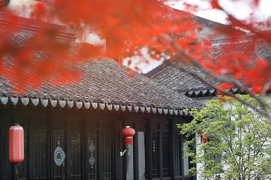 闃虫緞婀栨矙瀹舵禍鐖婇浮,涓轰簡澶ч椄锜规潵鍒伴槼婢勬箹