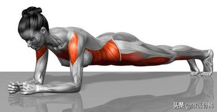 平板支撑腰总是塌下去怎么办,平板支撑能让腰部紧致吗