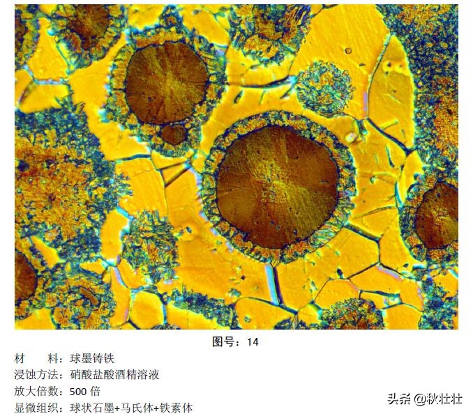 马氏体和奥氏体金相图片,马氏体和珠光体金相区别
