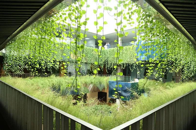 “守旧”与“创新”,为科创赋能!一起探寻这个番禺老厂房的“城南故事”