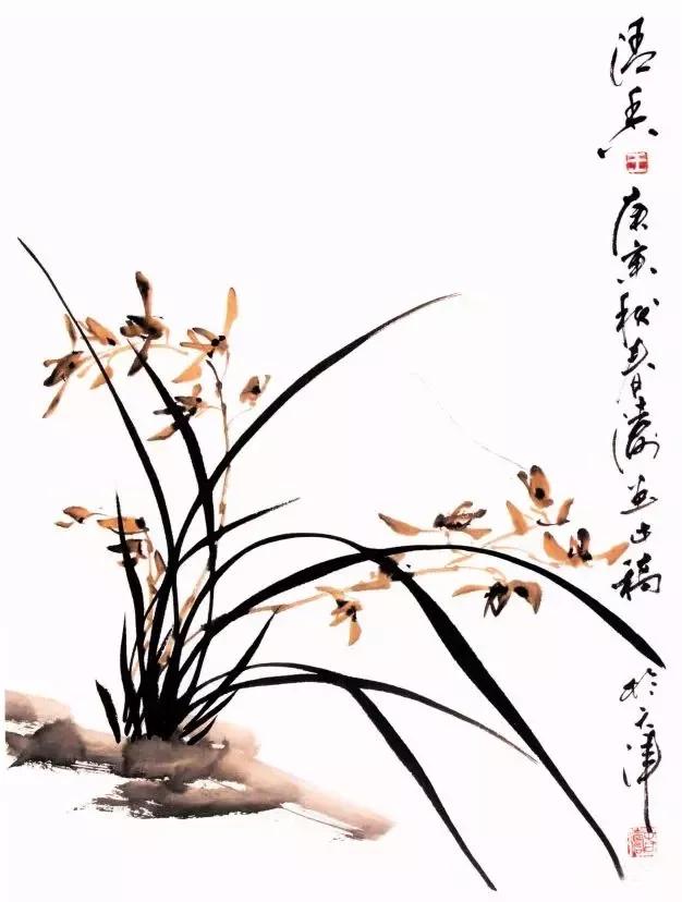 国画兰花绘画图,简单国画兰花画法教程