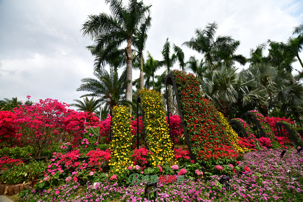 深圳荔枝公园跑步一圈有多长,目前深圳有哪些地方适合跑步