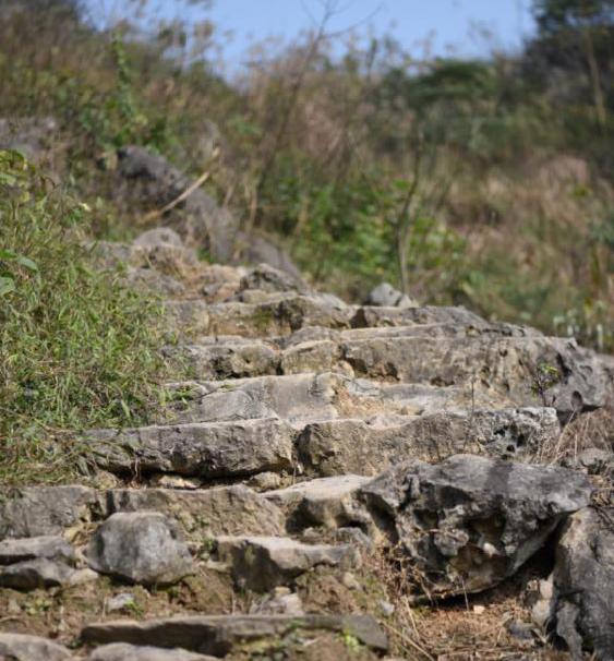瀹滃鍙ら亾,涓夋睙椋庣墿