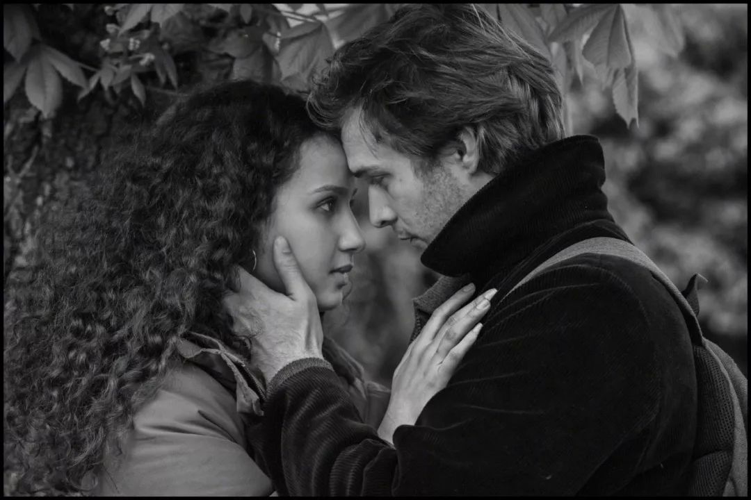 101部必看的电影,2020必看电影清单100部