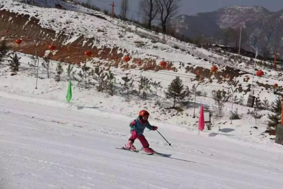 旅游宁夏至河南,旅游宁夏银川