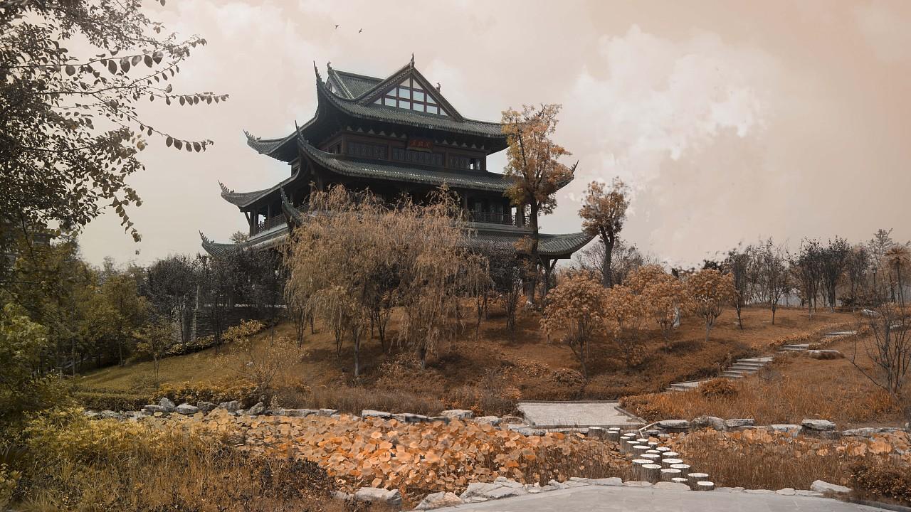 选录课本上的《草》，为何后四句删减了，是因为有“诗病”吗