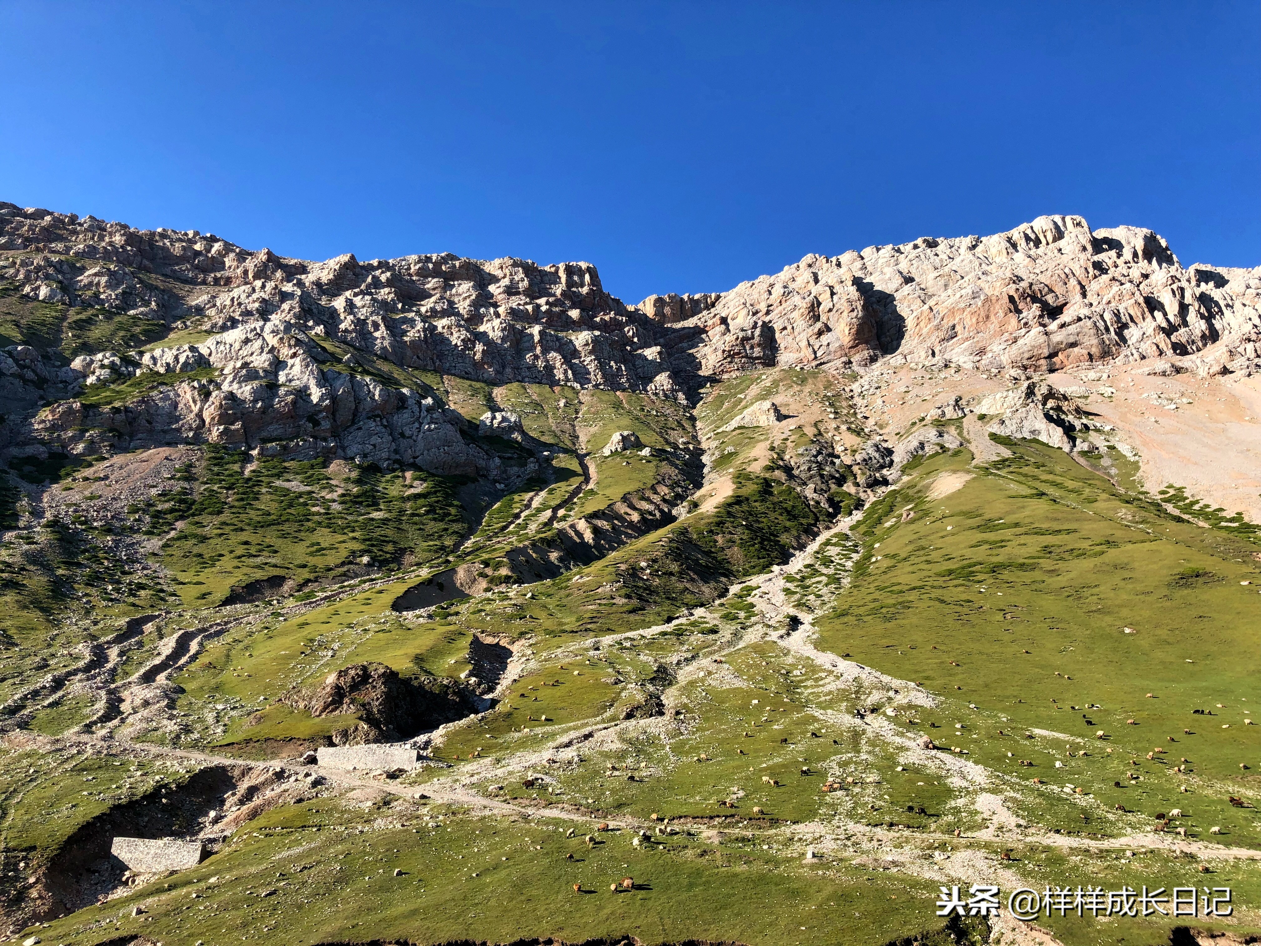 一家三口新疆伊犁旅游,自驾游霍尔果斯路线攻略