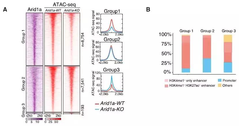 肝脏体外再生,肝脏体外存活新技术