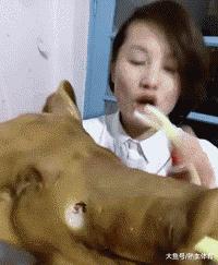 滑稽gif图,鞋子搞笑gif