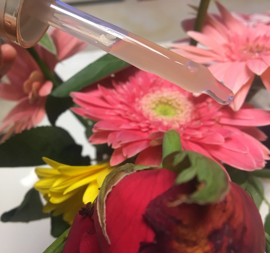 100毫升雅诗兰黛小棕瓶真假鉴别,雅诗兰黛uk100ml小棕瓶真假鉴别