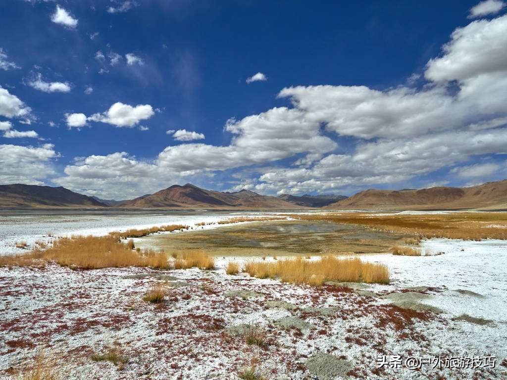 在野外没有盐怎么办,在野外怎么能够弄到盐