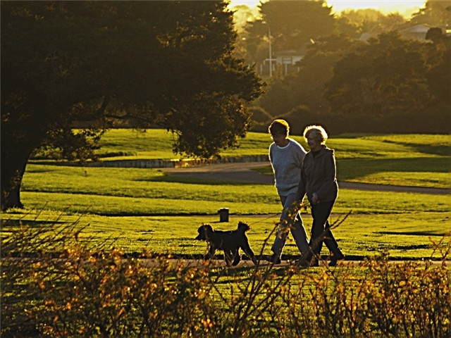 从胃炎到胃癌需要多久时间,从胃炎到胃癌发展一般多长时间