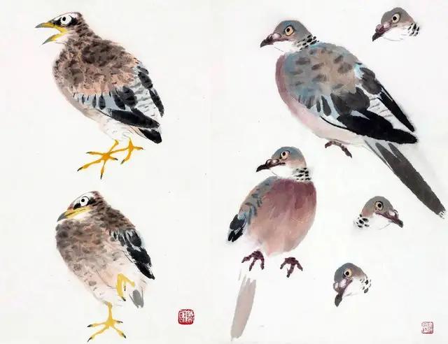 国画300例写意禽鸟技法入门,国画鸟的画法一学就会