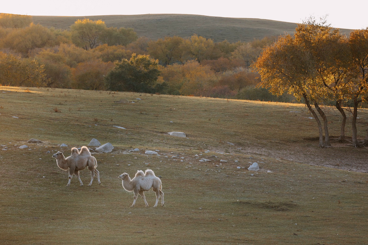 高速高画质专业表现EOSR6满足多种拍摄需求
