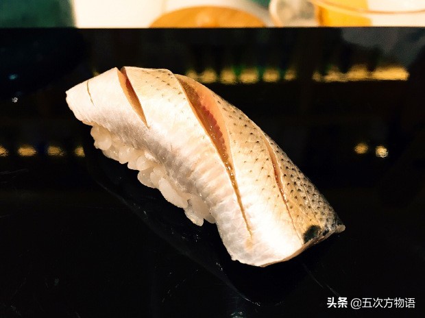 青岛常见的海鱼,海洋鱼类种类大全及图片