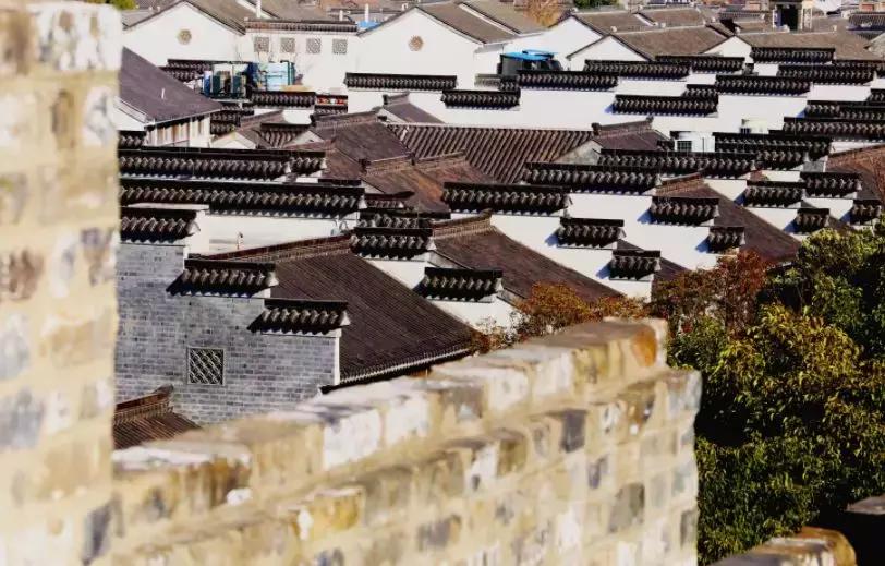 南京的秋天浪漫吗,一起去看南京最美的秋天