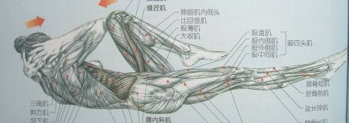 肥胖想练肌肉的健身方法,健身上半身减肥动作