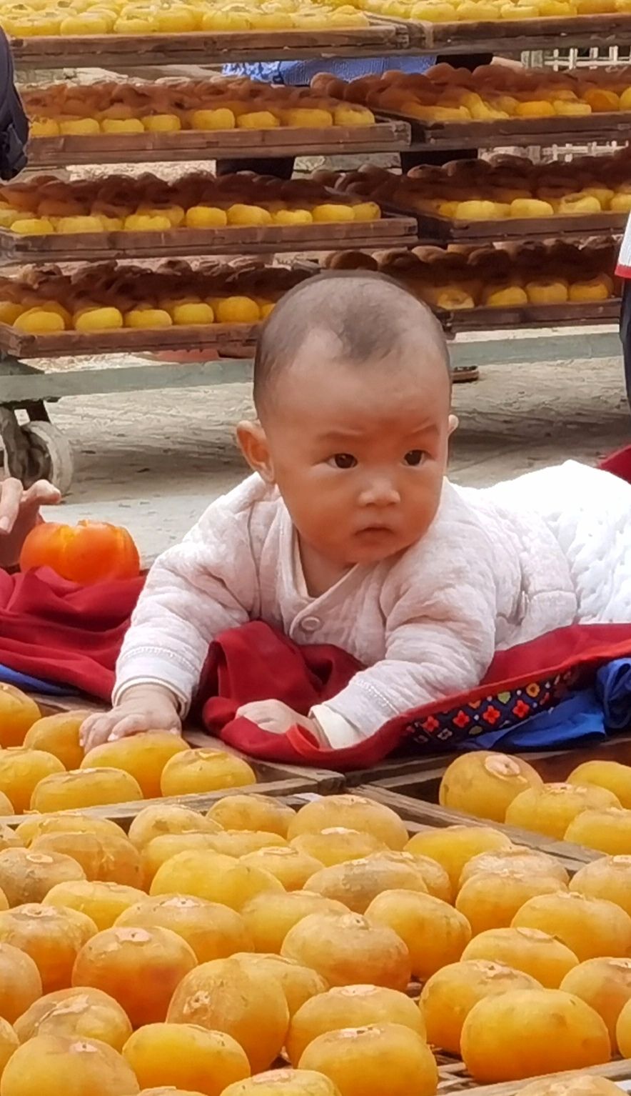 秋天的回忆完整版,秋天的回忆歌曲