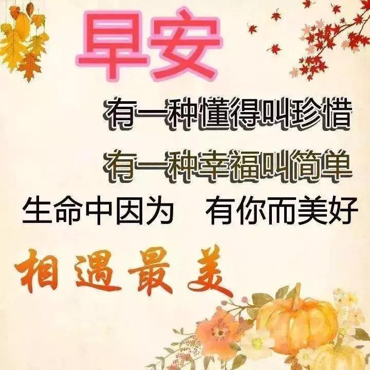 心灵的伙伴是什么,心灵的伙伴是温暖源泉