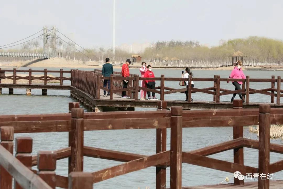 天津东疆港亲海公园今天开放吗,天津即将完工的公园