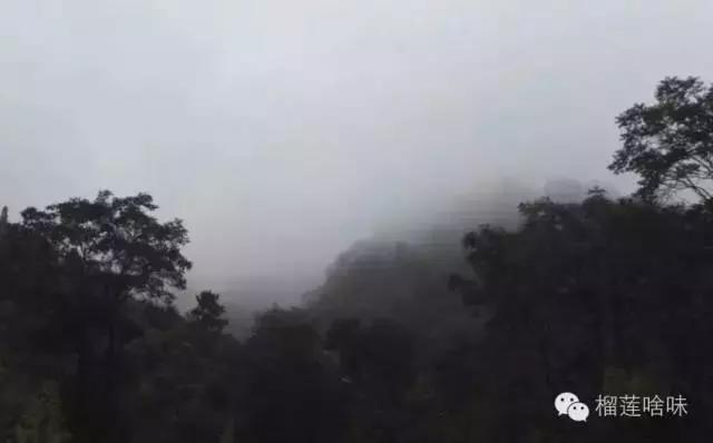 上高二女儿说要打耳洞该怎么劝说,高中女孩想打耳洞