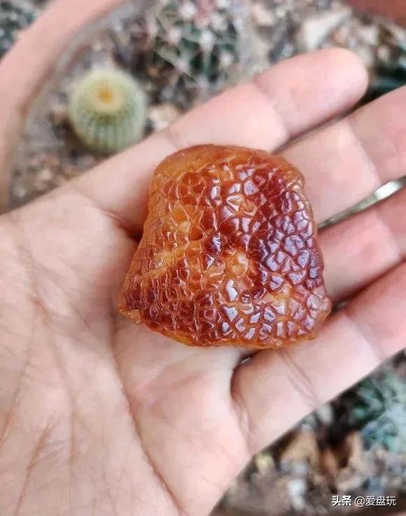 真正的蜜蜡是怎样的,特别迷恋蜜蜡