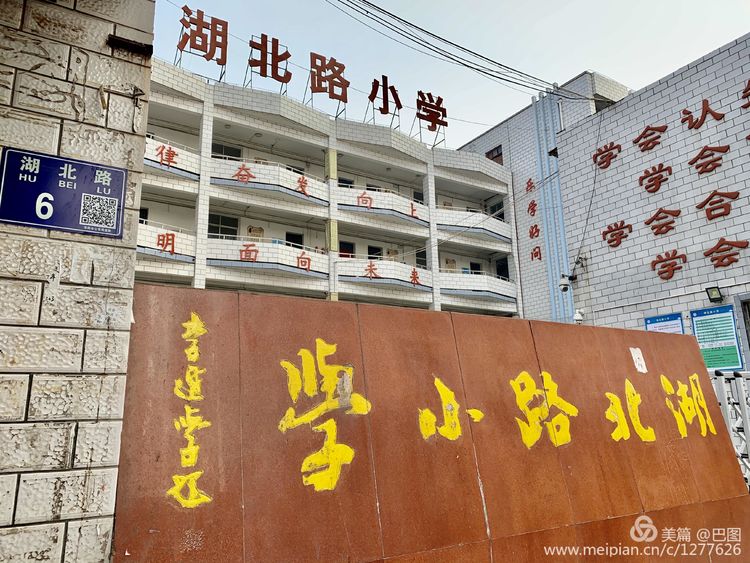 涧西牡丹广场老照片,洛阳牡丹手机拍照