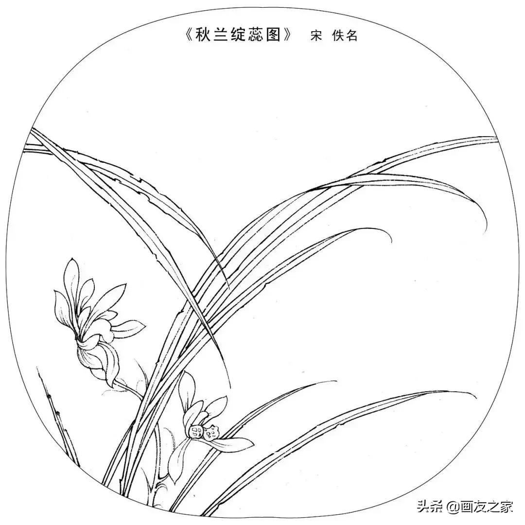 宋花鸟工笔画高清大图临摹过程,宋画工笔画花卉上色教程