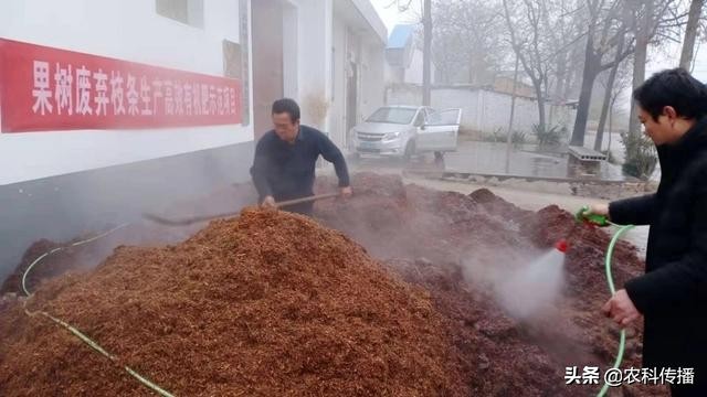 一种新型畜禽粪便制有机肥的方法,畜禽粪便主要原料的有机肥外观