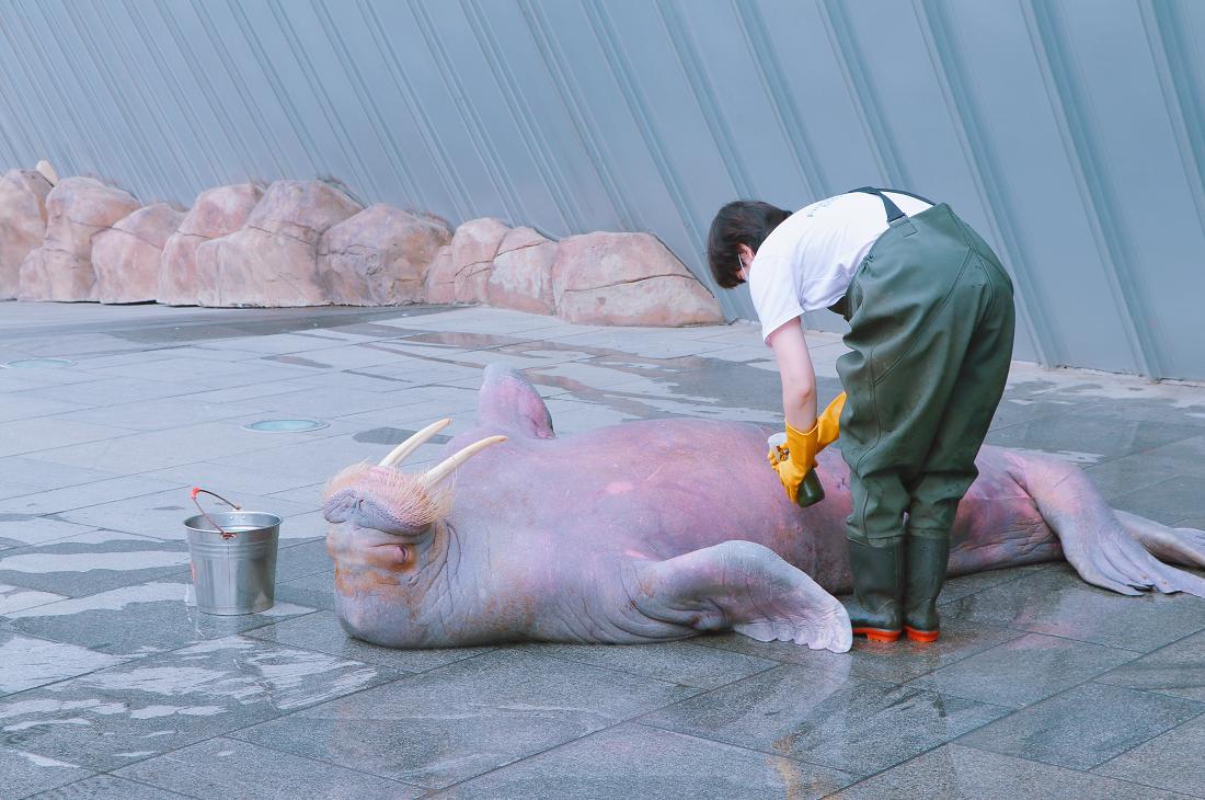 秋分后不要乱贴秋膘,立秋贴秋膘还是秋分贴秋膘