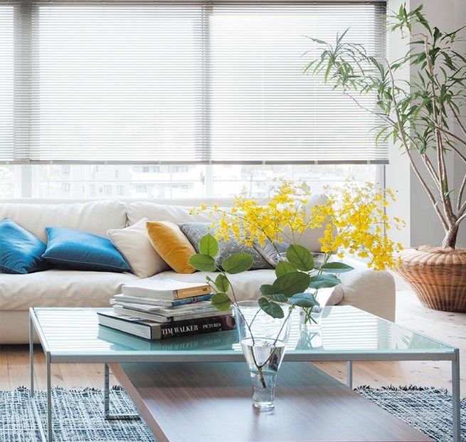 变换光影的百叶窗，拯救高温和颜值就靠它了