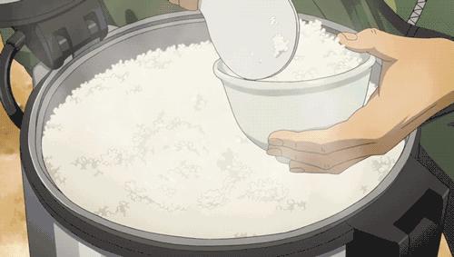 哪种大米蒸米饭最好,蒸米饭选择什么大米好吃