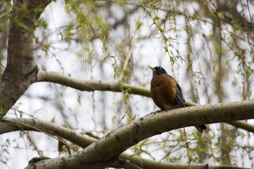 佳能80D视频创作者的理想装备?我并不这么认为!