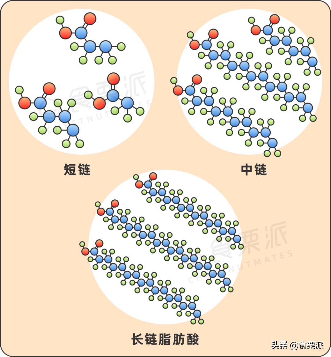 哪种椰子油减肥,椰子油是不是可以减肥