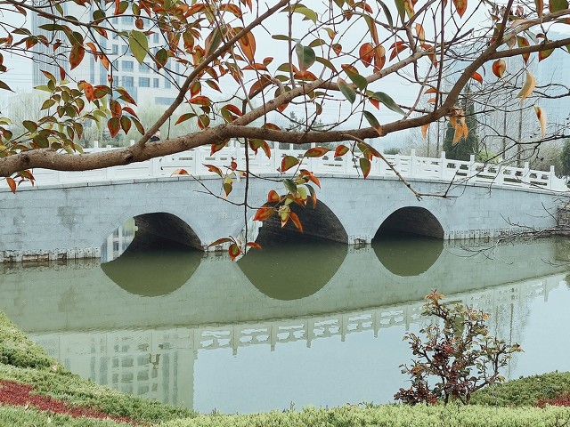 100首春天唯美经典诗词,描写春天花的优美句子诗词