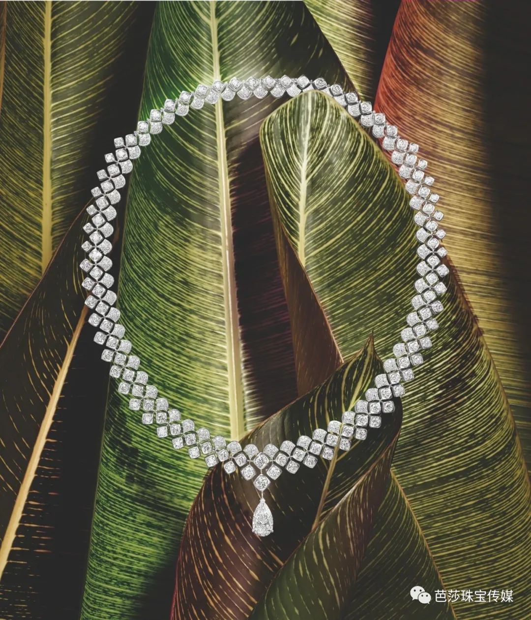 澶х墝楂樼骇棣栭グ,澶х墝楂樼骇鐝犲疂