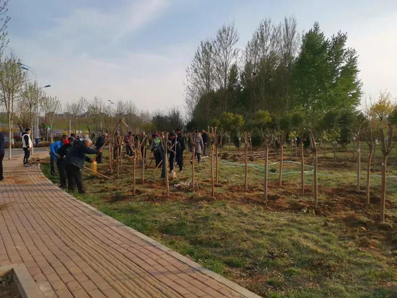 花团锦簇的峰峰是怎样炼成的？是时候告诉你真相了